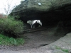 brimham_42