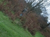 brimham_58