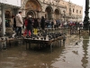 venice-067