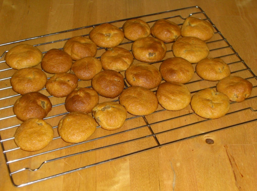 ginger and honey biscuits