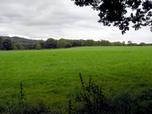 field