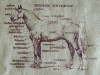 horse-bag