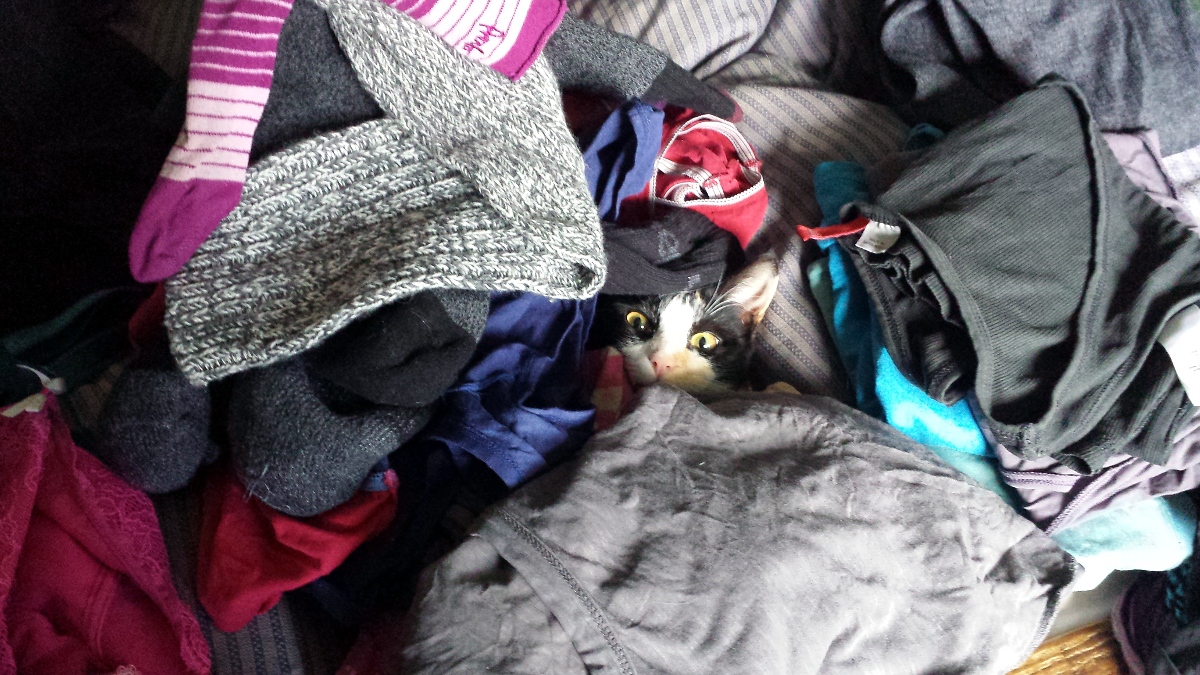 strange-buried-in-laundry
