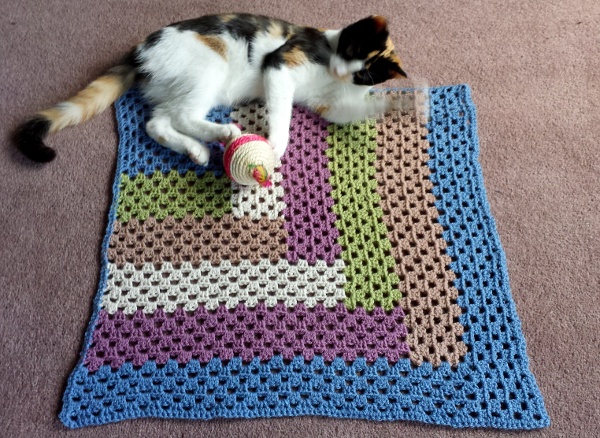 strange-kitty-blanket